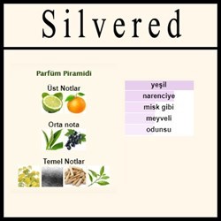 SILVERED